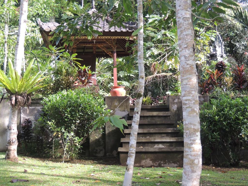 Tegal Jero Homestay จาตีลูวีห์ ภายนอก รูปภาพ