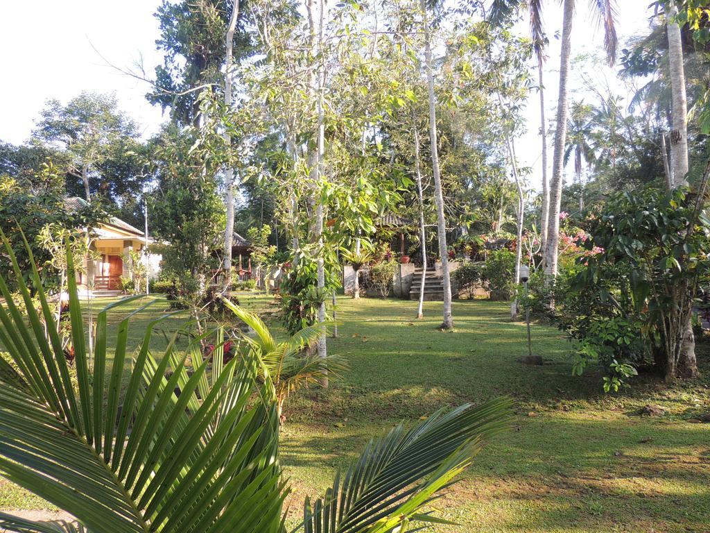 Tegal Jero Homestay จาตีลูวีห์ ภายนอก รูปภาพ
